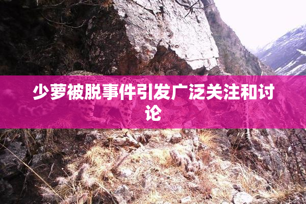 少萝被脱事件引发广泛关注和讨论