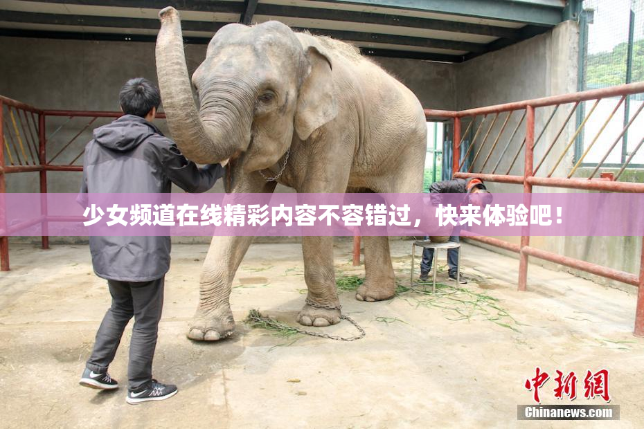 少女频道在线精彩内容不容错过，快来体验吧！