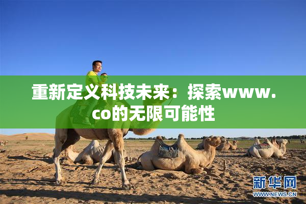 重新定义科技未来：探索www.co的无限可能性