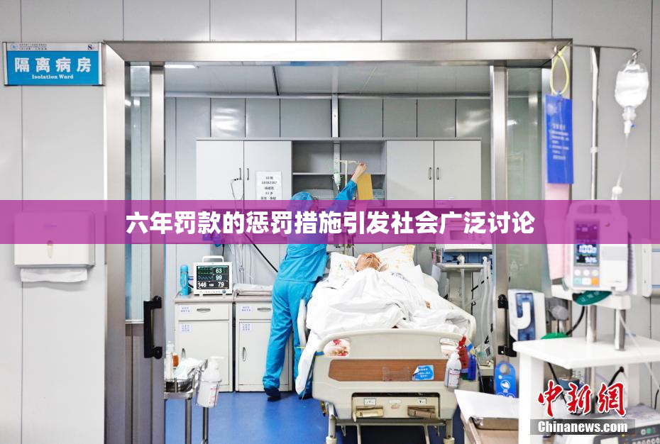六年罚款的惩罚措施引发社会广泛讨论