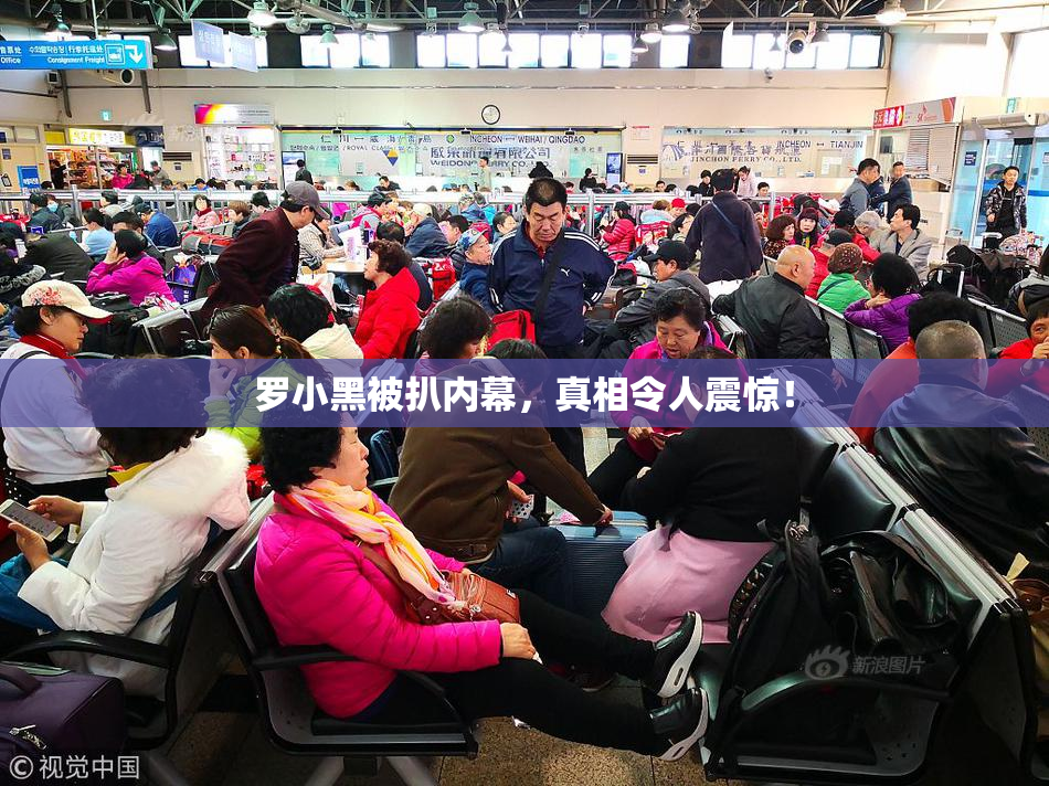 罗小黑被扒内幕，真相令人震惊！
