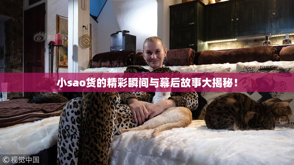 小sao货的精彩瞬间与幕后故事大揭秘！