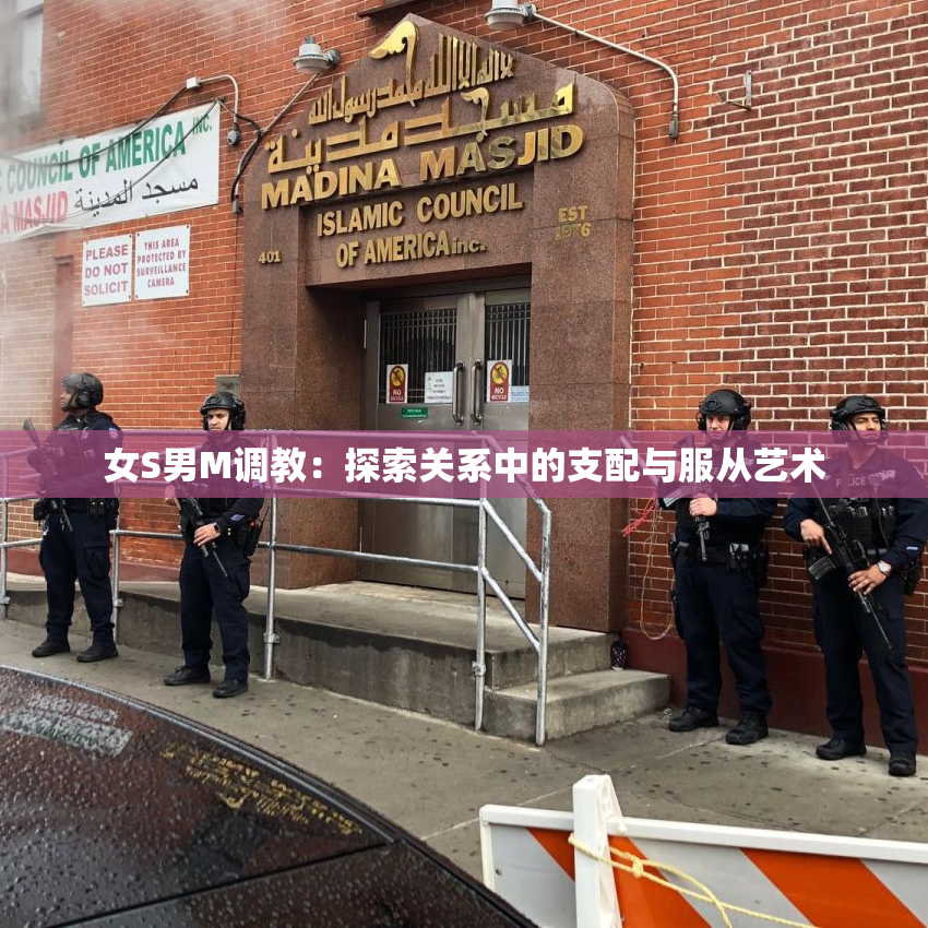 女S男M调教：探索关系中的支配与服从艺术