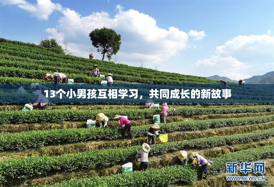 13个小男孩互相学习，共同成长的新故事