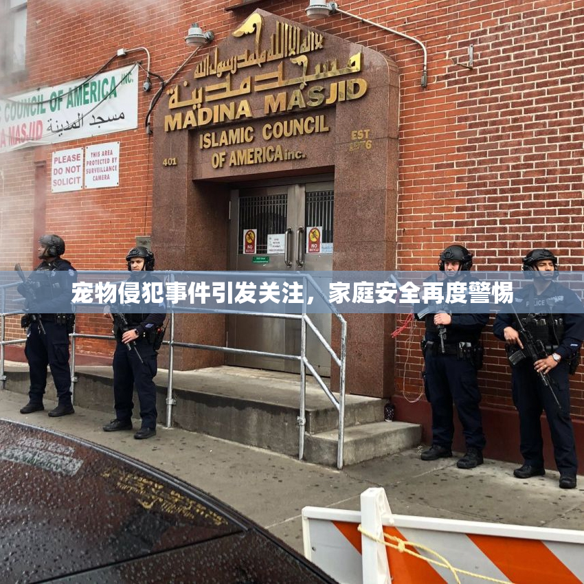 宠物侵犯事件引发关注，家庭安全再度警惕