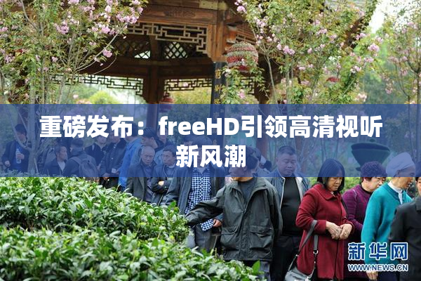 重磅发布：freeHD引领高清视听新风潮