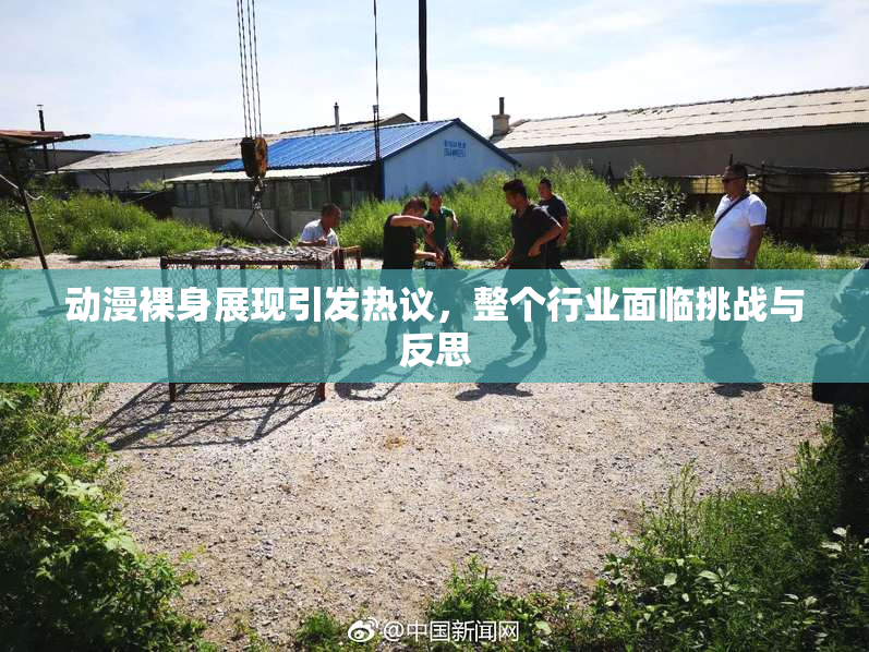 动漫裸身展现引发热议，整个行业面临挑战与反思