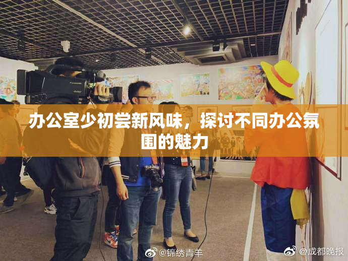 办公室少初尝新风味，探讨不同办公氛围的魅力