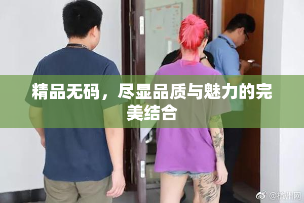 精品无码，尽显品质与魅力的完美结合