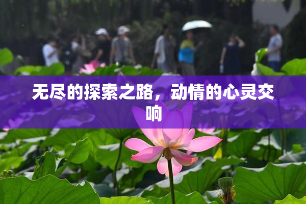 无尽的探索之路，动情的心灵交响