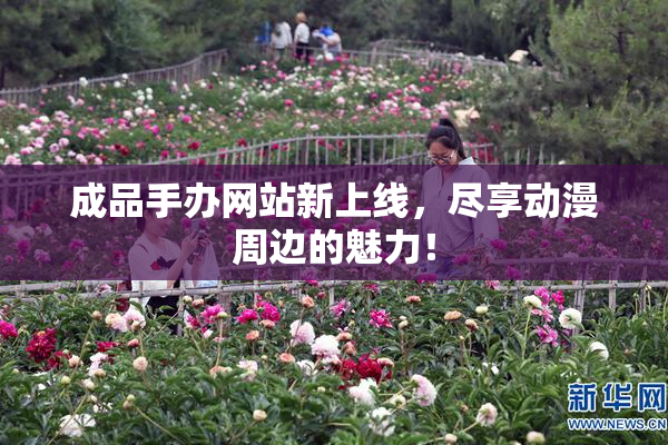成品手办网站新上线，尽享动漫周边的魅力！