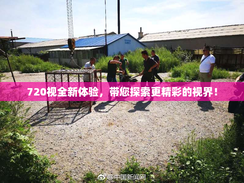 720视全新体验，带您探索更精彩的视界！