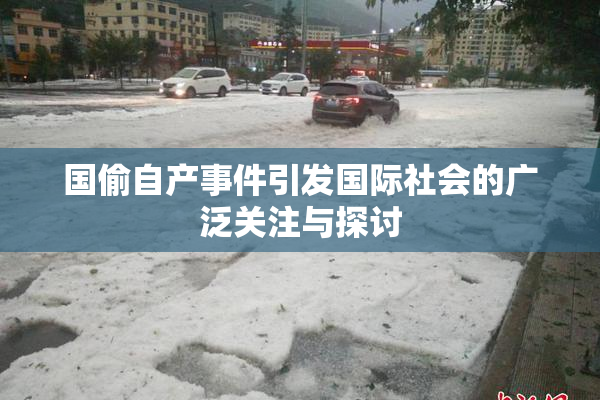 国偷自产事件引发国际社会的广泛关注与探讨