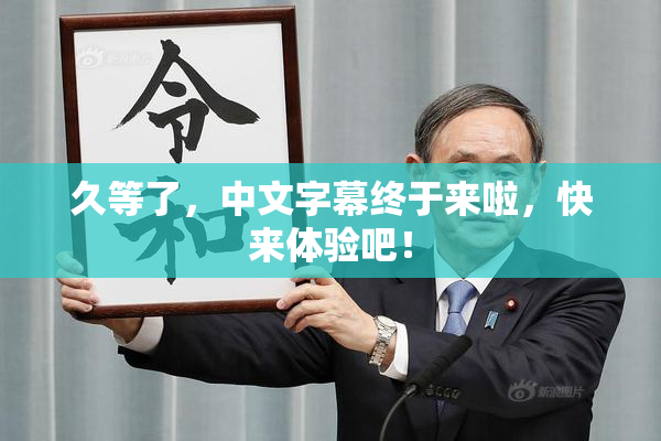 久等了，中文字幕终于来啦，快来体验吧！