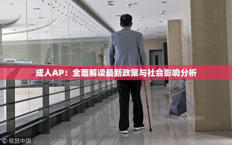 成人AP：全面解读最新政策与社会影响分析