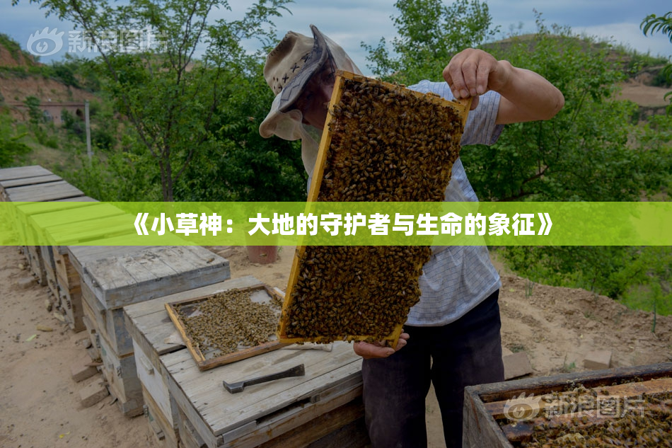 《小草神：大地的守护者与生命的象征》