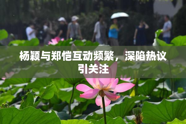 杨颖与郑恺互动频繁，深陷热议引关注