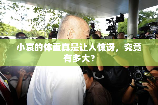 小哀的体重真是让人惊讶，究竟有多大？
