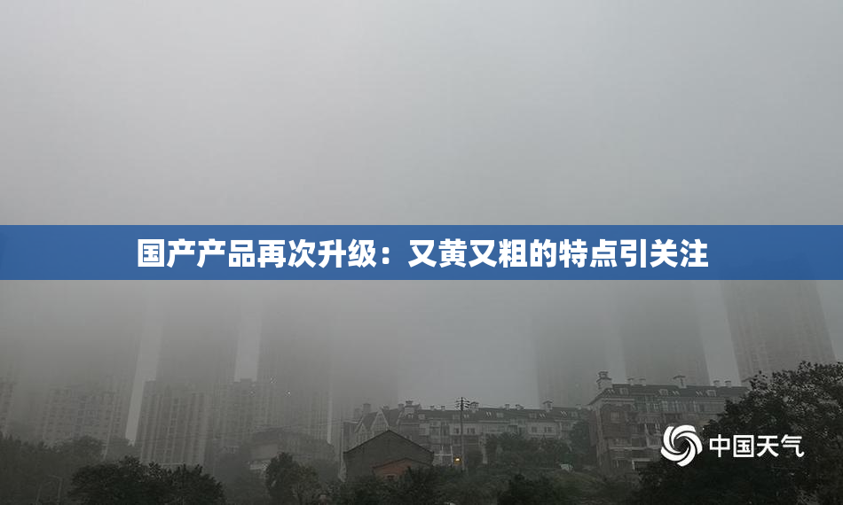 国产产品再次升级：又黄又粗的特点引关注