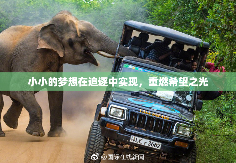 小小的梦想在追逐中实现，重燃希望之光