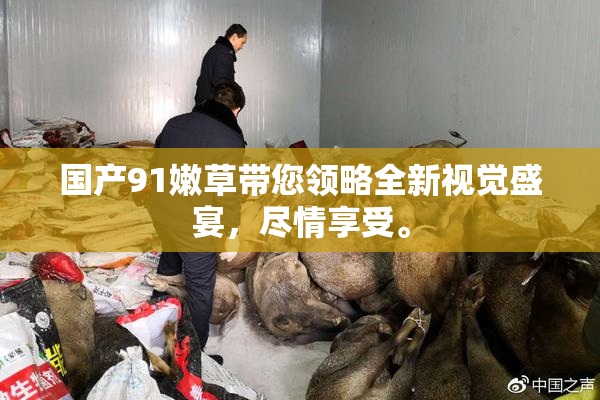 国产91嫩草带您领略全新视觉盛宴，尽情享受。