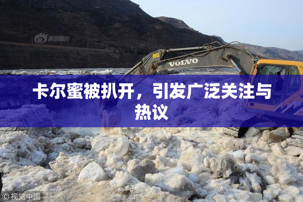 卡尔蜜被扒开，引发广泛关注与热议