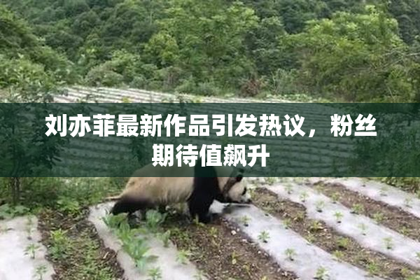 刘亦菲最新作品引发热议，粉丝期待值飙升
