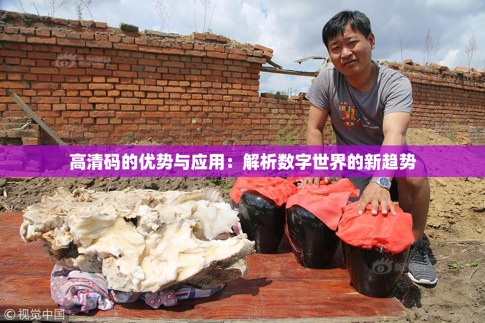 高清码的优势与应用：解析数字世界的新趋势