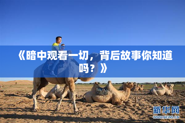 《暗中观看一切，背后故事你知道吗？》