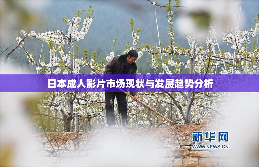 日本成人影片市场现状与发展趋势分析