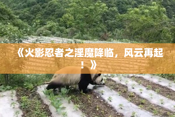 《火影忍者之淫魔降临，风云再起！》