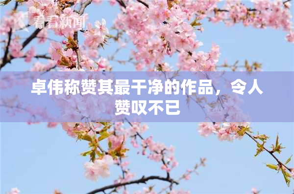卓伟称赞其最干净的作品，令人赞叹不已