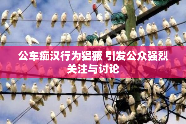 公车痴汉行为猖獗 引发公众强烈关注与讨论