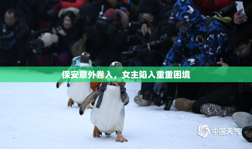 保安意外卷入，女主陷入重重困境