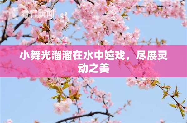 小舞光溜溜在水中嬉戏，尽展灵动之美