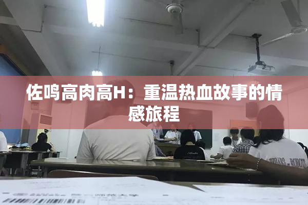 佐鸣高肉高H：重温热血故事的情感旅程