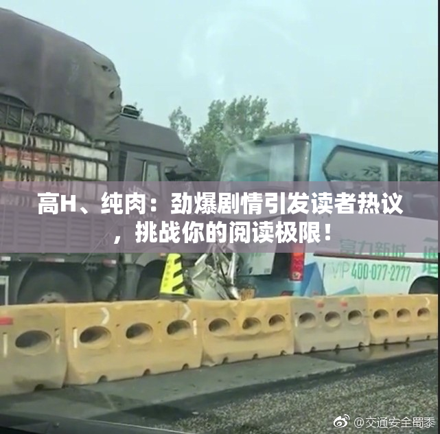 高H、纯肉：劲爆剧情引发读者热议，挑战你的阅读极限！