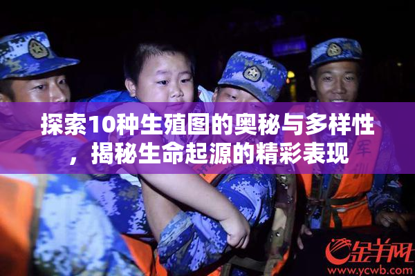 探索10种生殖图的奥秘与多样性，揭秘生命起源的精彩表现
