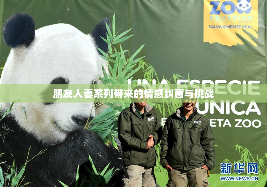 朋友人妻系列带来的情感纠葛与挑战