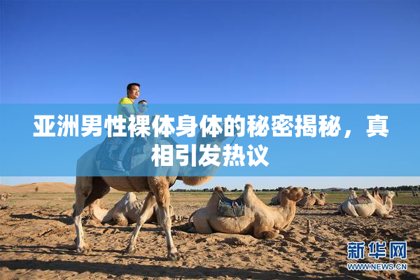 亚洲男性裸体身体的秘密揭秘，真相引发热议