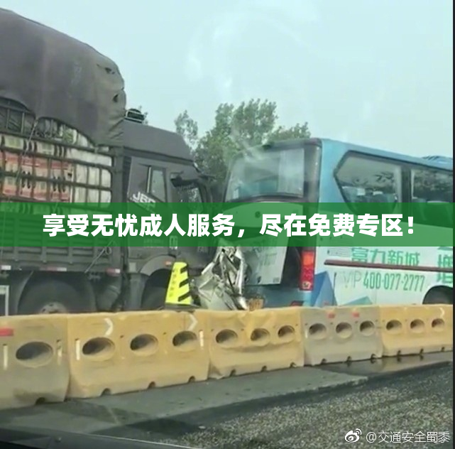 享受无忧成人服务，尽在免费专区！