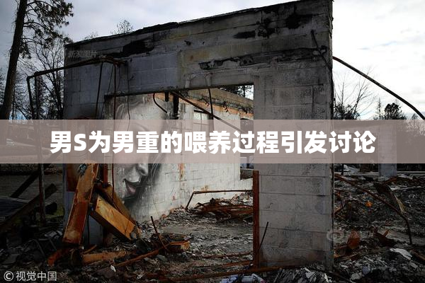 男S为男重的喂养过程引发讨论
