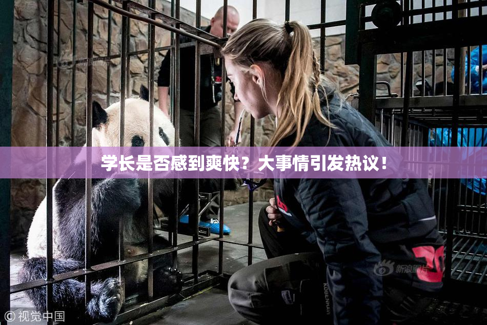 学长是否感到爽快？大事情引发热议！