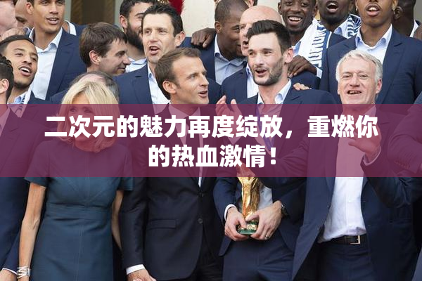 二次元的魅力再度绽放，重燃你的热血激情！