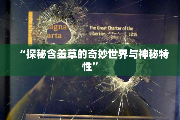 “探秘含羞草的奇妙世界与神秘特性”