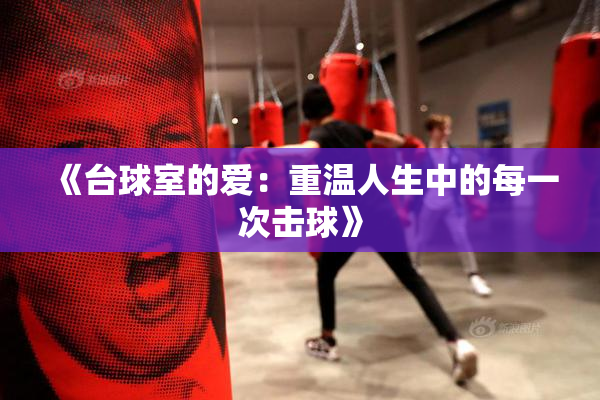 《台球室的爱：重温人生中的每一次击球》