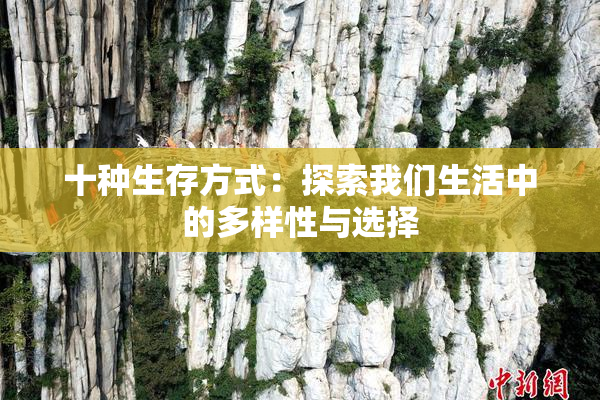 十种生存方式：探索我们生活中的多样性与选择