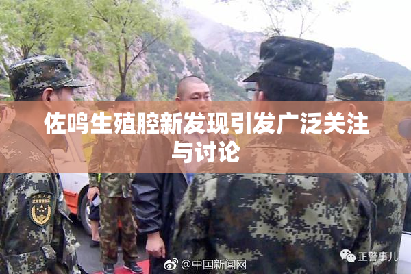 佐鸣生殖腔新发现引发广泛关注与讨论