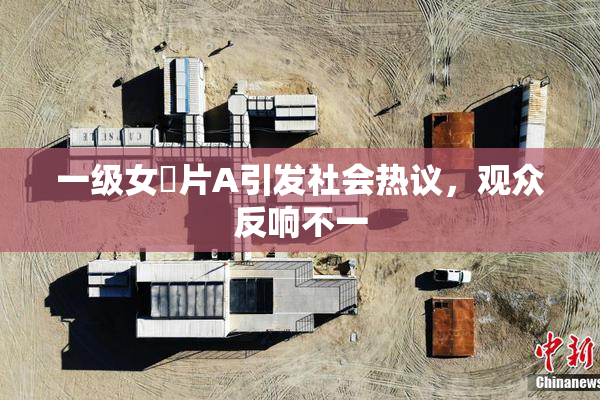 一级女婬片A引发社会热议，观众反响不一