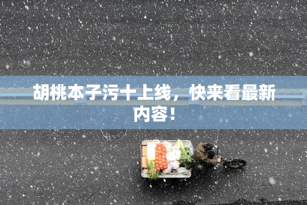 胡桃本子污十上线，快来看最新内容！